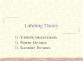 Labeling Theory PowerPoint PPT Presentation