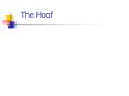 The Hoof PowerPoint PPT Presentation