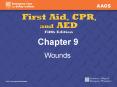 Wounds PowerPoint PPT Presentation