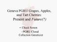 Geneva PGRU Grapes, Apples, and Tart Cherries: Present and Future PowerPoint PPT Presentation