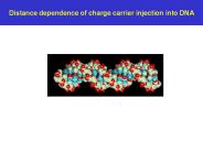 Distance dependence of charge carrier injection into DNA