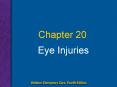Eye Injuries PowerPoint PPT Presentation