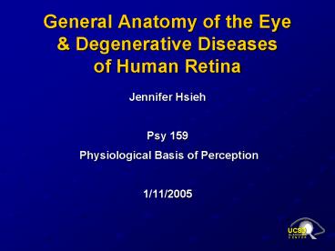 General Anatomy of the Eye