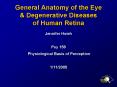 General Anatomy of the Eye PowerPoint PPT Presentation