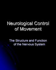 Neurological%20Control%20of%20Movement