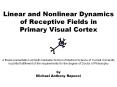 Linear and Nonlinear Dynamics of Receptive Fields in Primary Visual Cortex PowerPoint PPT Presentation