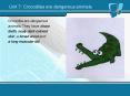 Unit 7: Crocodiles are dangerous animals PowerPoint PPT Presentation