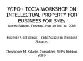 WIPO - TCCIA WORKSHOP ON INTELLECTUAL PROPERTY FOR BUSINESS FOR SMEs Dar-es-Salaam, Tanzania, May 10 and 11, 2005 PowerPoint PPT Presentation