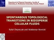 SPONTANEOUS TOPOLOGICAL TRANSITIONS IN BIDISPERSE CELLULAR FLUIDS