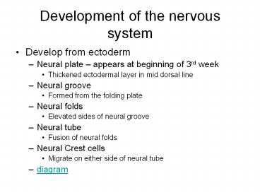 Development of the nervous system presentation | free to view
