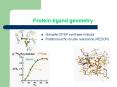 Proteinligand geometry PowerPoint PPT Presentation