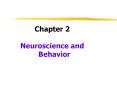 Neuroscience and Behavior PowerPoint PPT Presentation