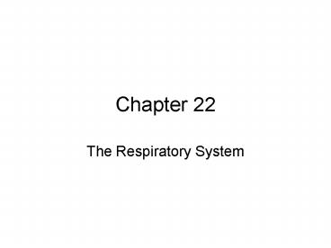 The Respiratory System