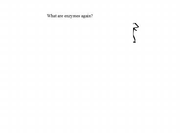 What are enzymes again