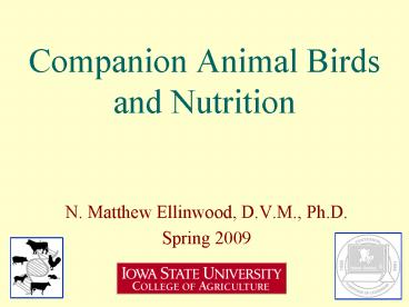 Companion Animal Birds and Nutrition
