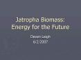 Jatropha Biomass: Energy for the Future PowerPoint PPT Presentation