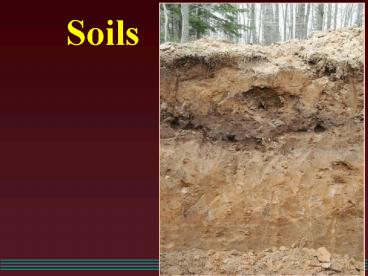 Soils
