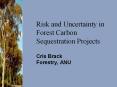 Risk and Uncertainty in Forest Carbon Sequestration Projects PowerPoint PPT Presentation