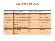 CNJ Projects 2006