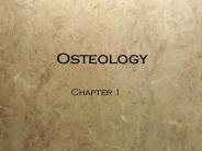 Osteology