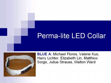 Perma-lite%20LED%20Collar