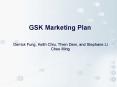 GSK Marketing Plan PowerPoint PPT Presentation