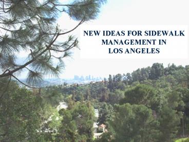 NEW IDEAS FOR SIDEWALK MANAGEMENT IN LOS ANGELES