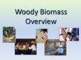 Woody Biomass Overview PowerPoint PPT Presentation