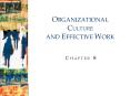 ORGANIZATIONAL CULTURE AND EFFECTIVE WORK PowerPoint PPT Presentation