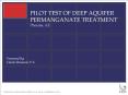 PILOT TEST OF DEEP AQUIFER PERMANGANATE TREATMENT Phoenix, AZ PowerPoint PPT Presentation