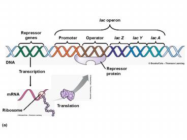 presentation player overlay