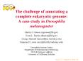 The challenge of annotating a complete eukaryotic genome: A case study in Drosophila melanogaster PowerPoint PPT Presentation