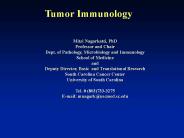 Cancer Immunology