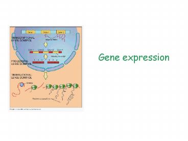 Gene expression