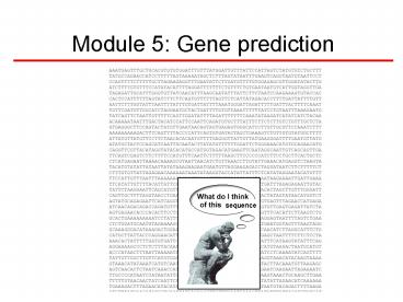 presentation player overlay