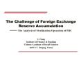 The Challenge of Foreign Exchange Reserve Accumulation  PowerPoint PPT Presentation