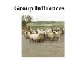 Group Influences PowerPoint PPT Presentation