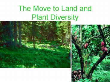 The Move to Land and Plant Diversity