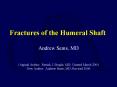 Fractures of the Humeral Shaft PowerPoint PPT Presentation