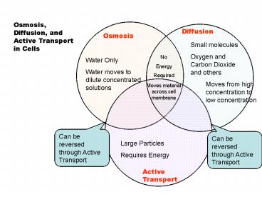 presentation player overlay