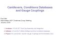Cantilevers, Conditions Databases and Gauge Couplings PowerPoint PPT Presentation
