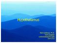 Hypothalamus PowerPoint PPT Presentation