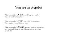 You are an Acrobat