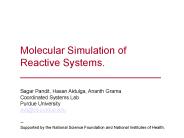 Molecular Simulation of Reactive Systems.