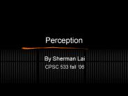 Perception