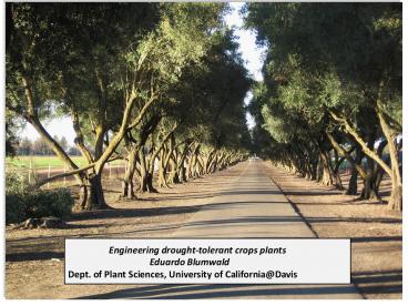 Engineering drought-tolerant crops plants