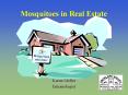 Mosquitoes in Real Estate PowerPoint PPT Presentation