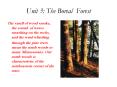 Unit 3: The Boreal Forest PowerPoint PPT Presentation