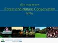 MSc programme Forest and Nature Conservation MFN PowerPoint PPT Presentation