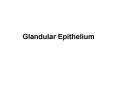 Glandular Epithelium PowerPoint PPT Presentation